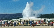 Old Faithful, Yellowsone National Park, MT